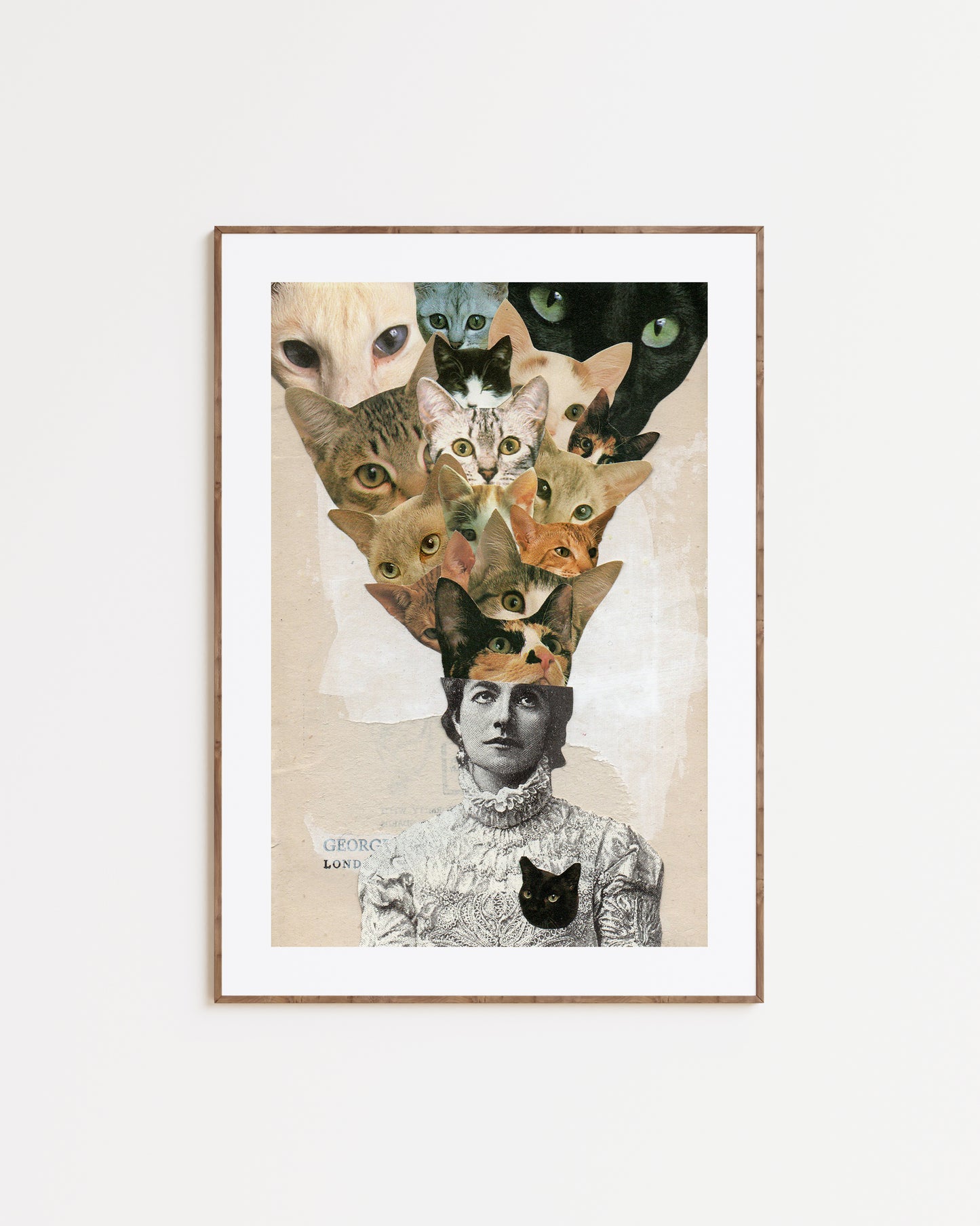 THE FAVOURITE PRINT