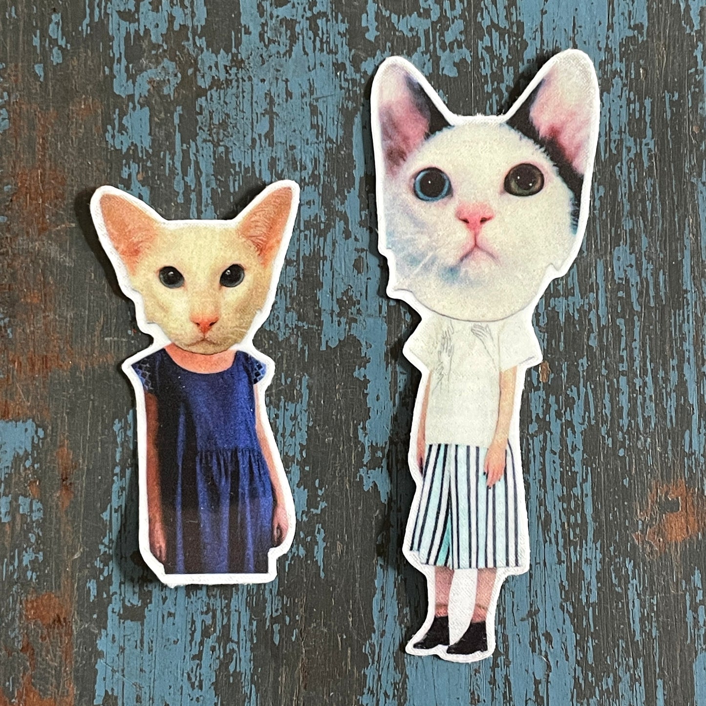 CATWALK TEMPORARY TATTOO PACK