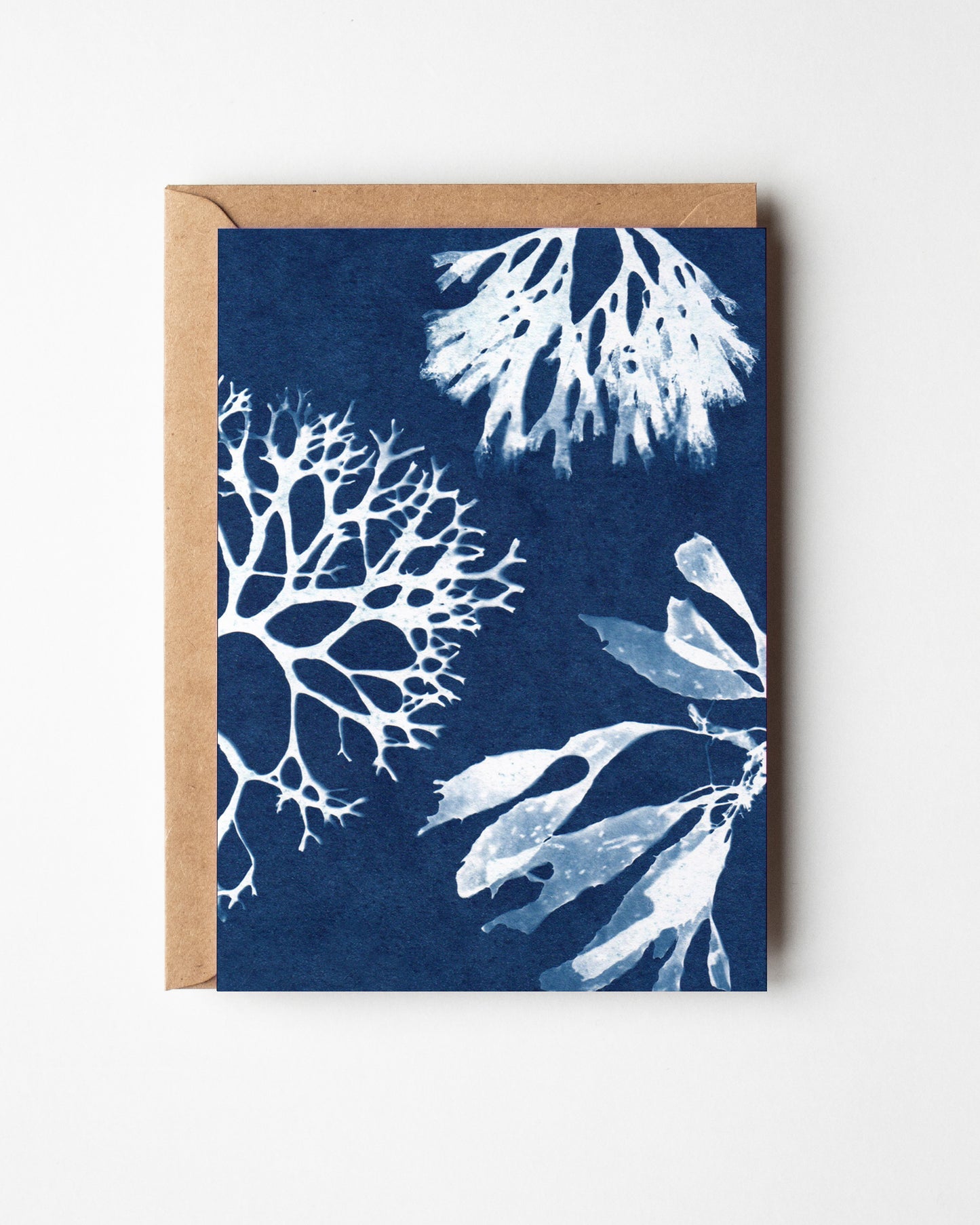 IN BETWEEN THE SEA AND THE SKY CARD