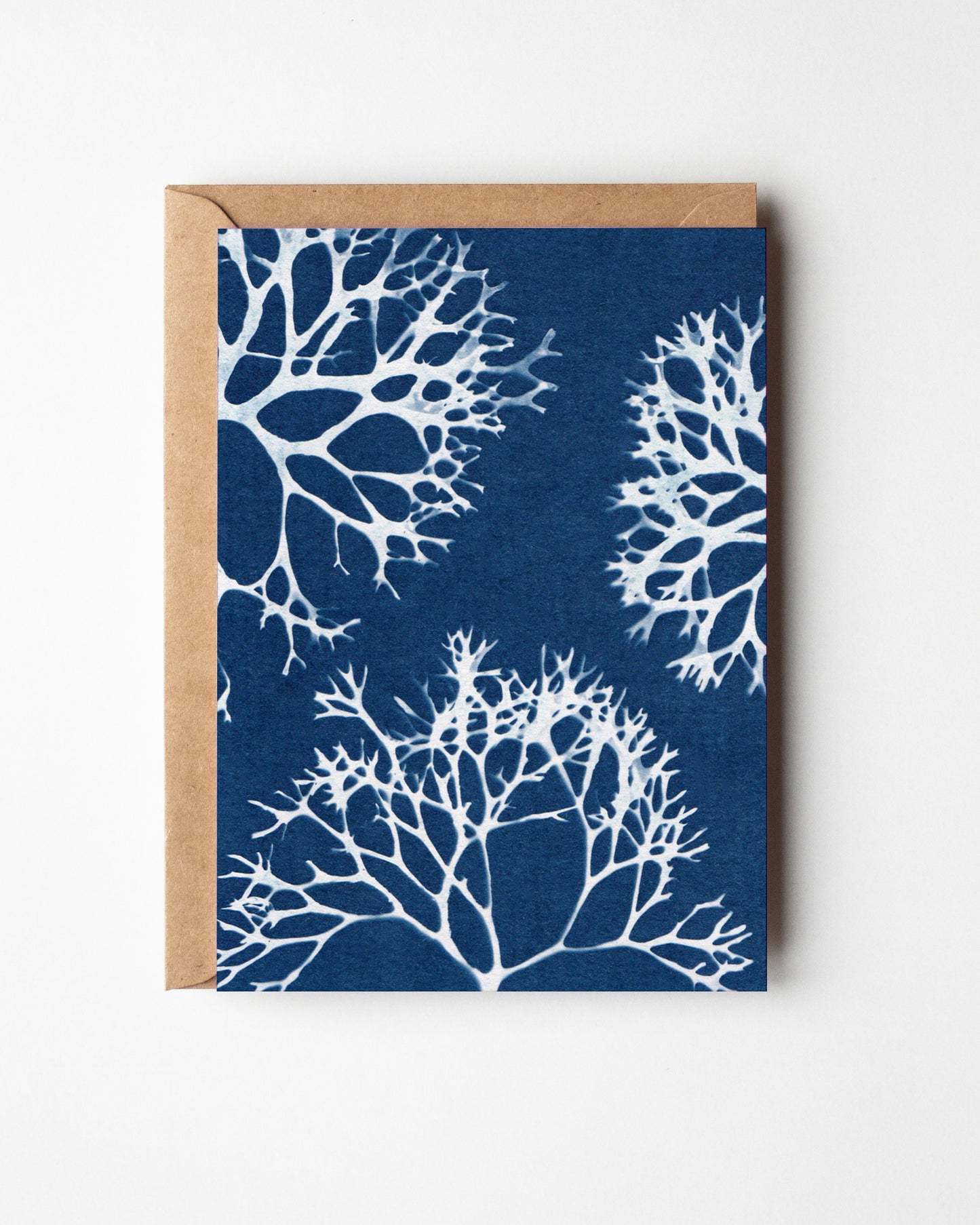 BEAUTY IN THE DEEP CARD