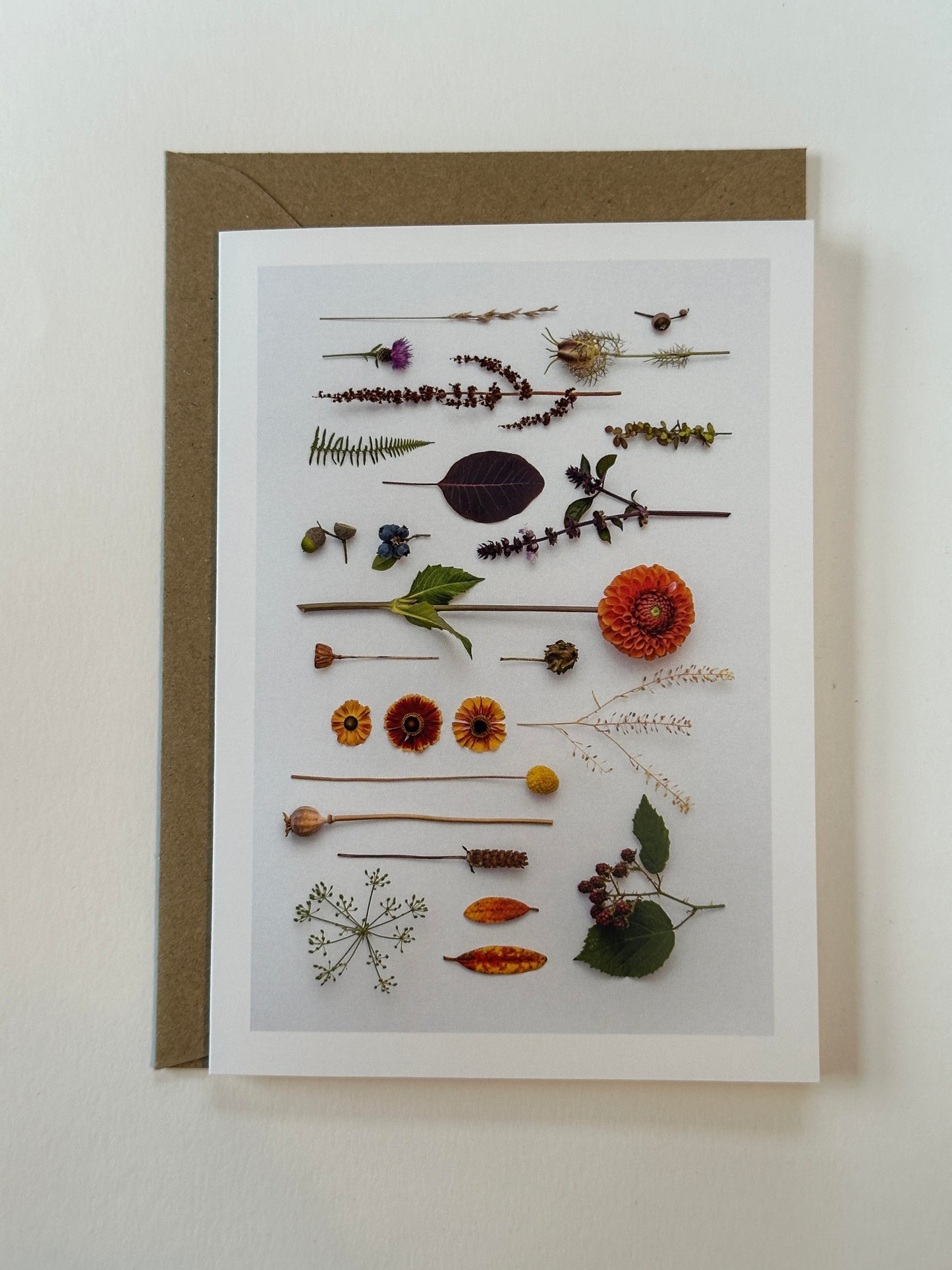 RETURN TO NATURE CARD