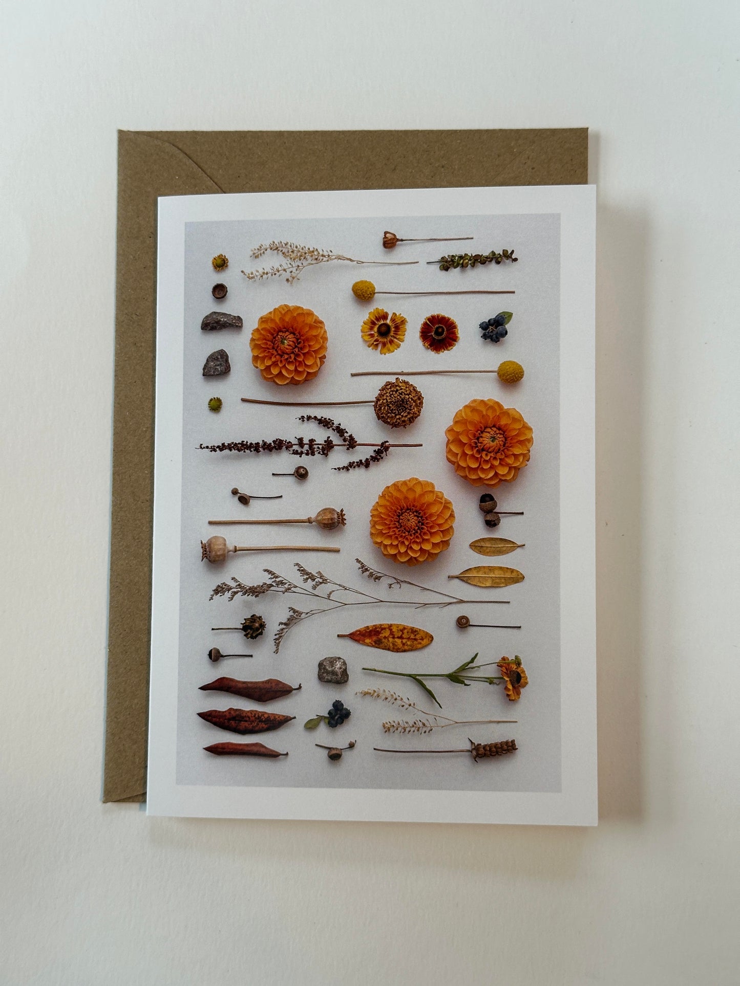 SUMMER BECAME AUTUMN CARD
