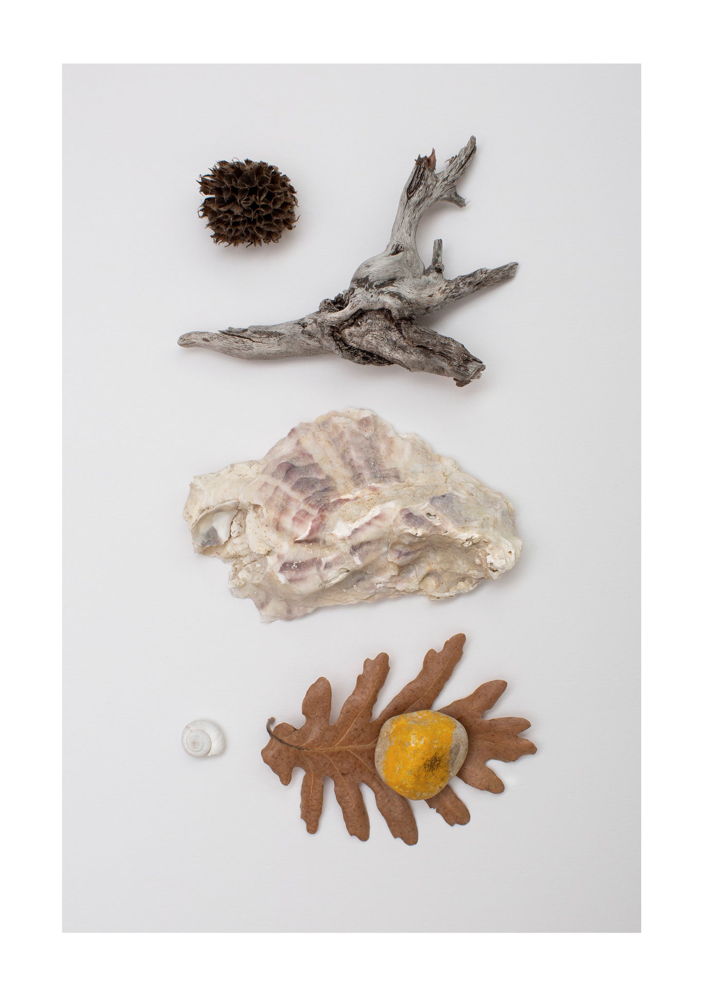 AFTER THE STORM PRINT