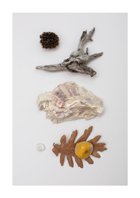 AFTER THE STORM PRINT