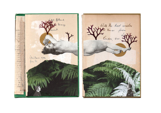 A WILD GODDESS ABOVE BOOK PRINT DOUBLE