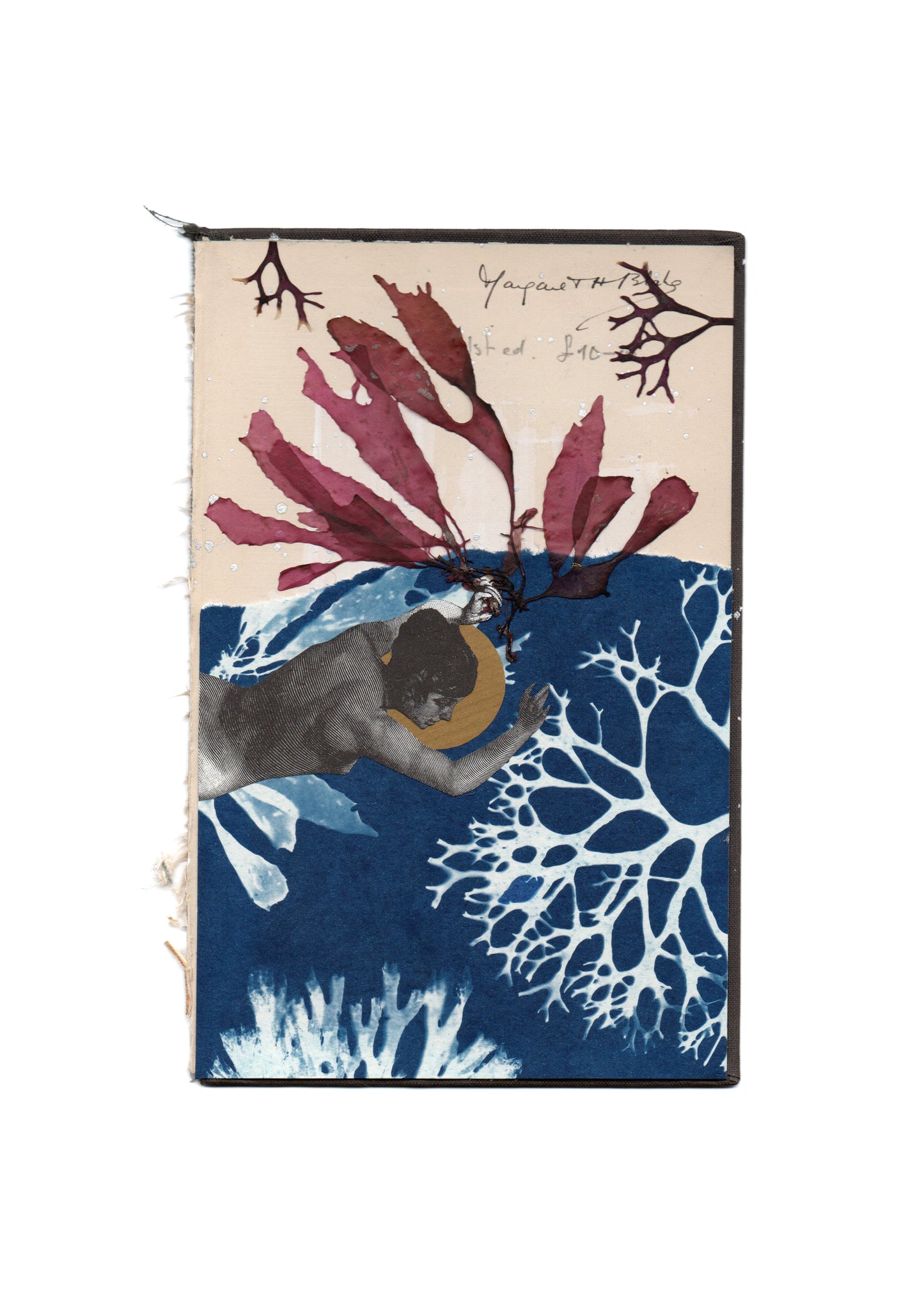 A WILD GODDESS BELOW BOOK PRINT