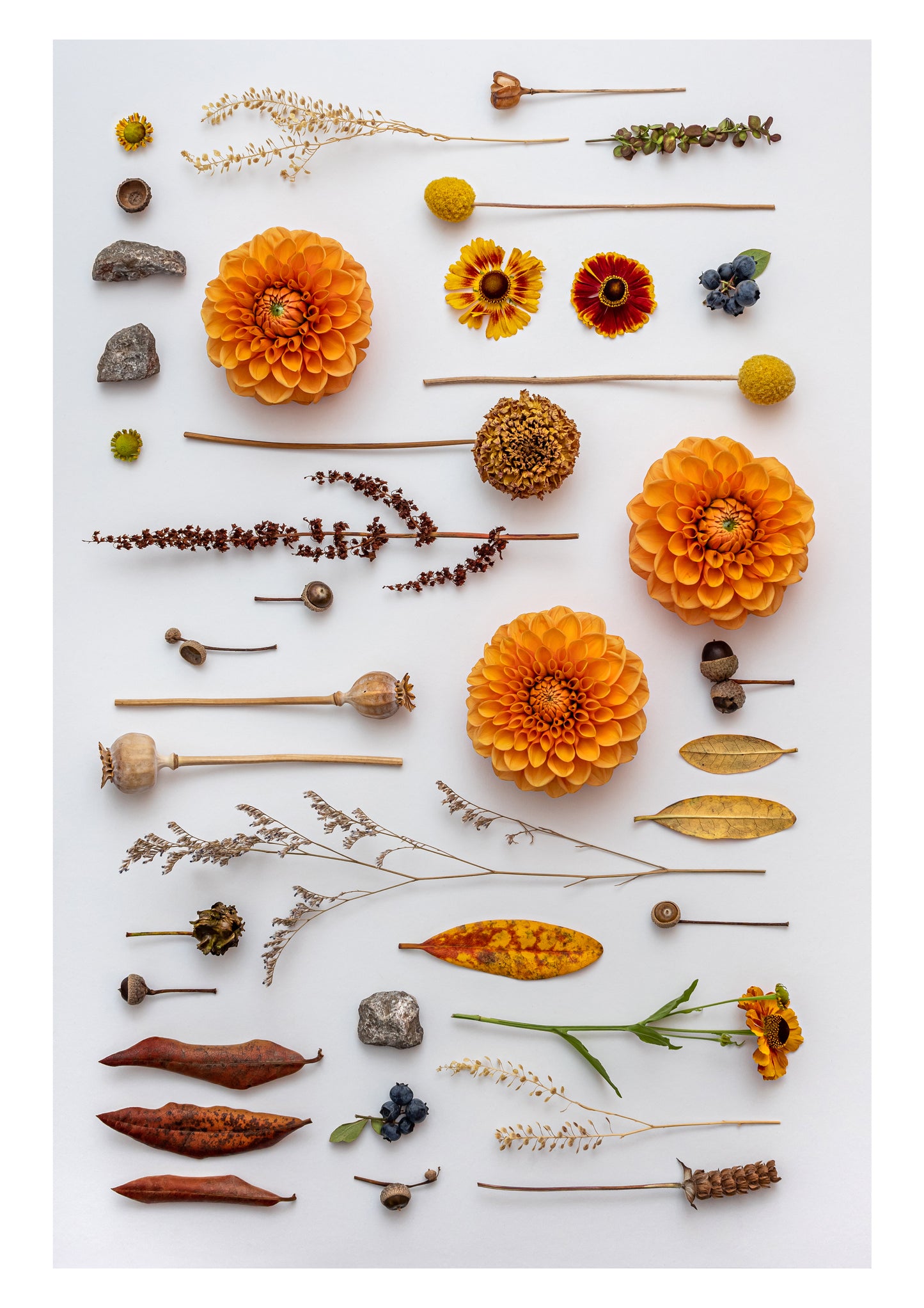 SUMMER BECAME AUTUMN PRINT