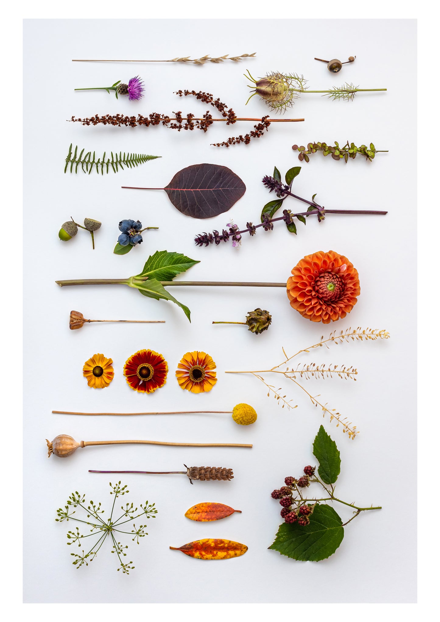 RETURN TO NATURE PRINT