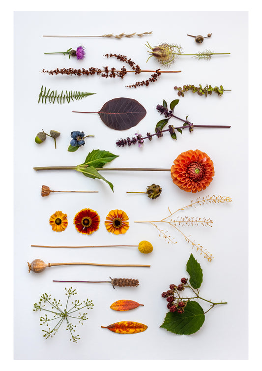 RETURN TO NATURE PRINT