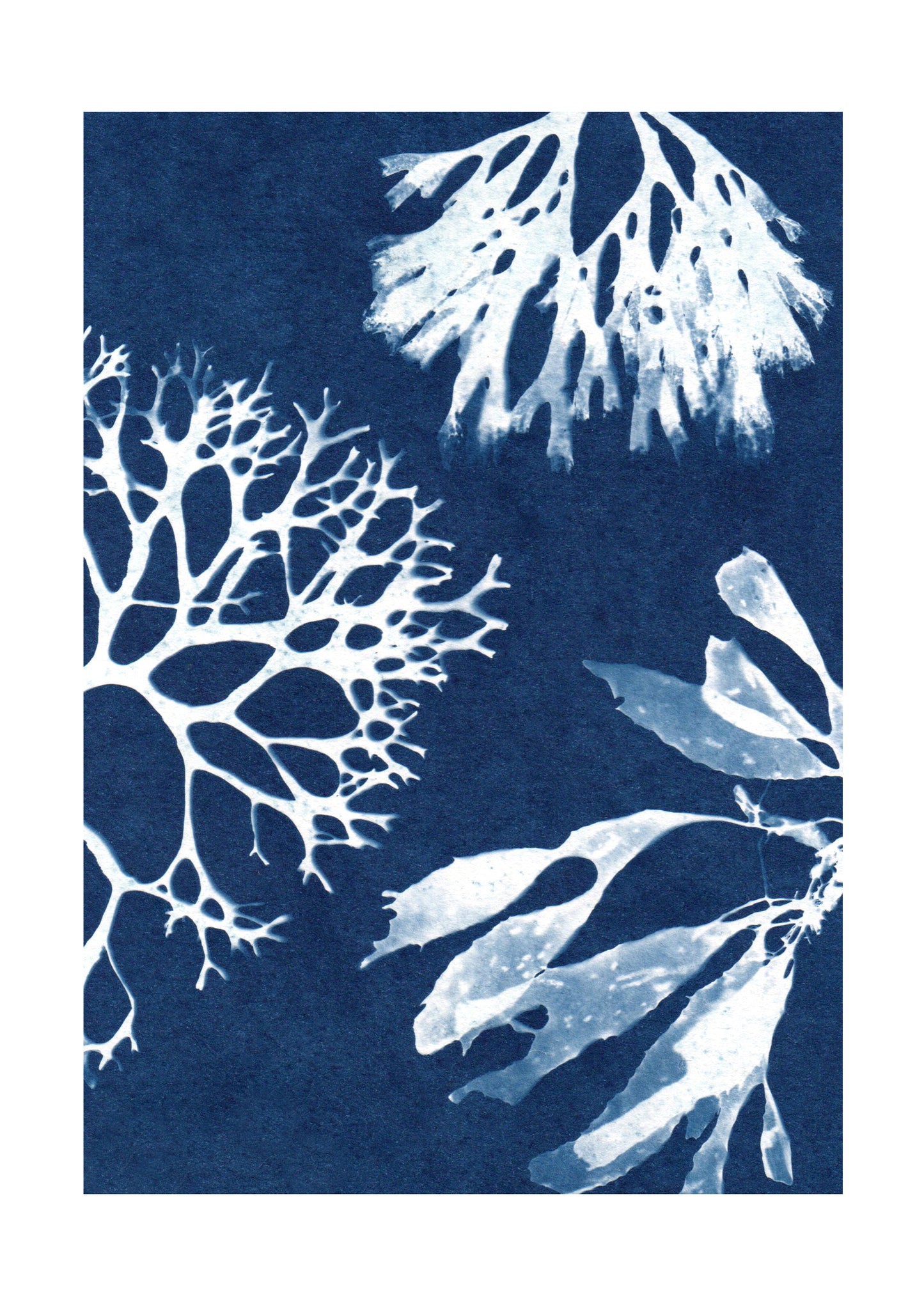 IN BETWEEN THE SEA AND SKY PRINT