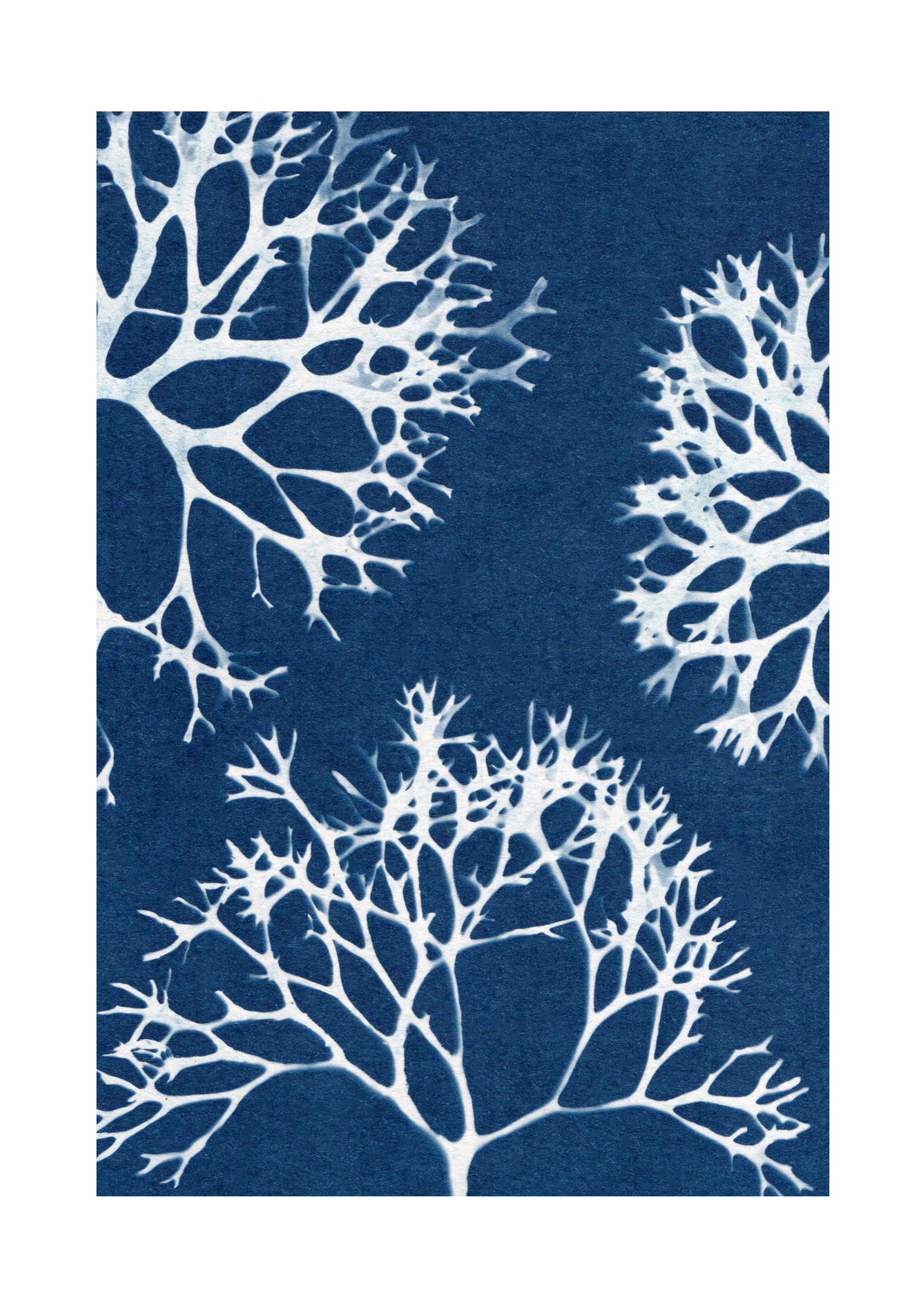 BEAUTY IN THE DEEP PRINT