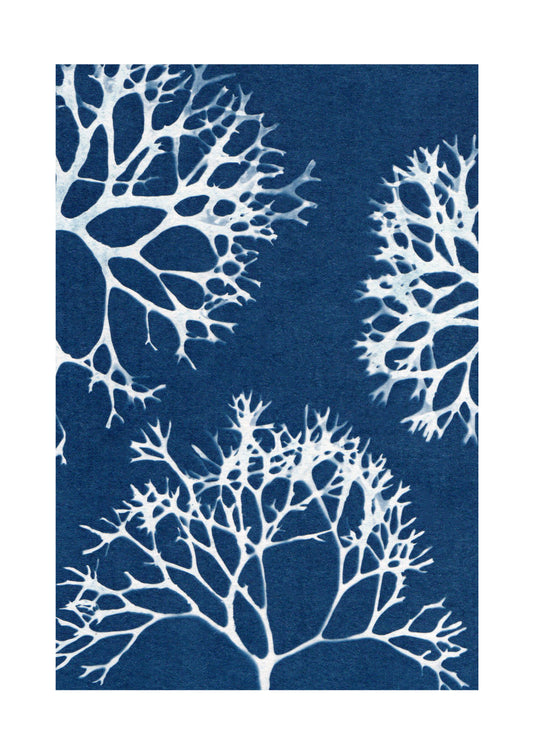 BEAUTY IN THE DEEP PRINT