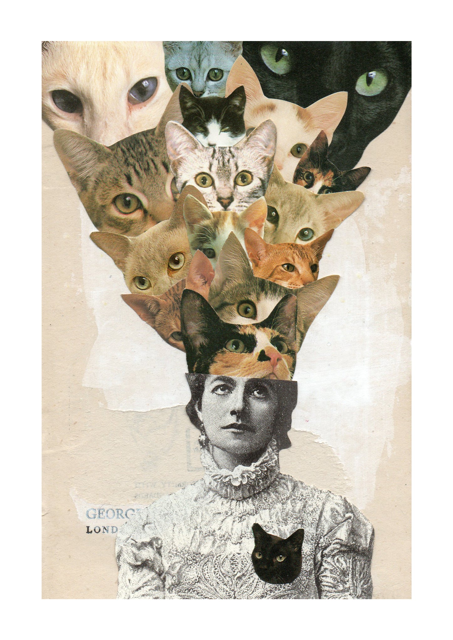 THE FAVOURITE PRINT