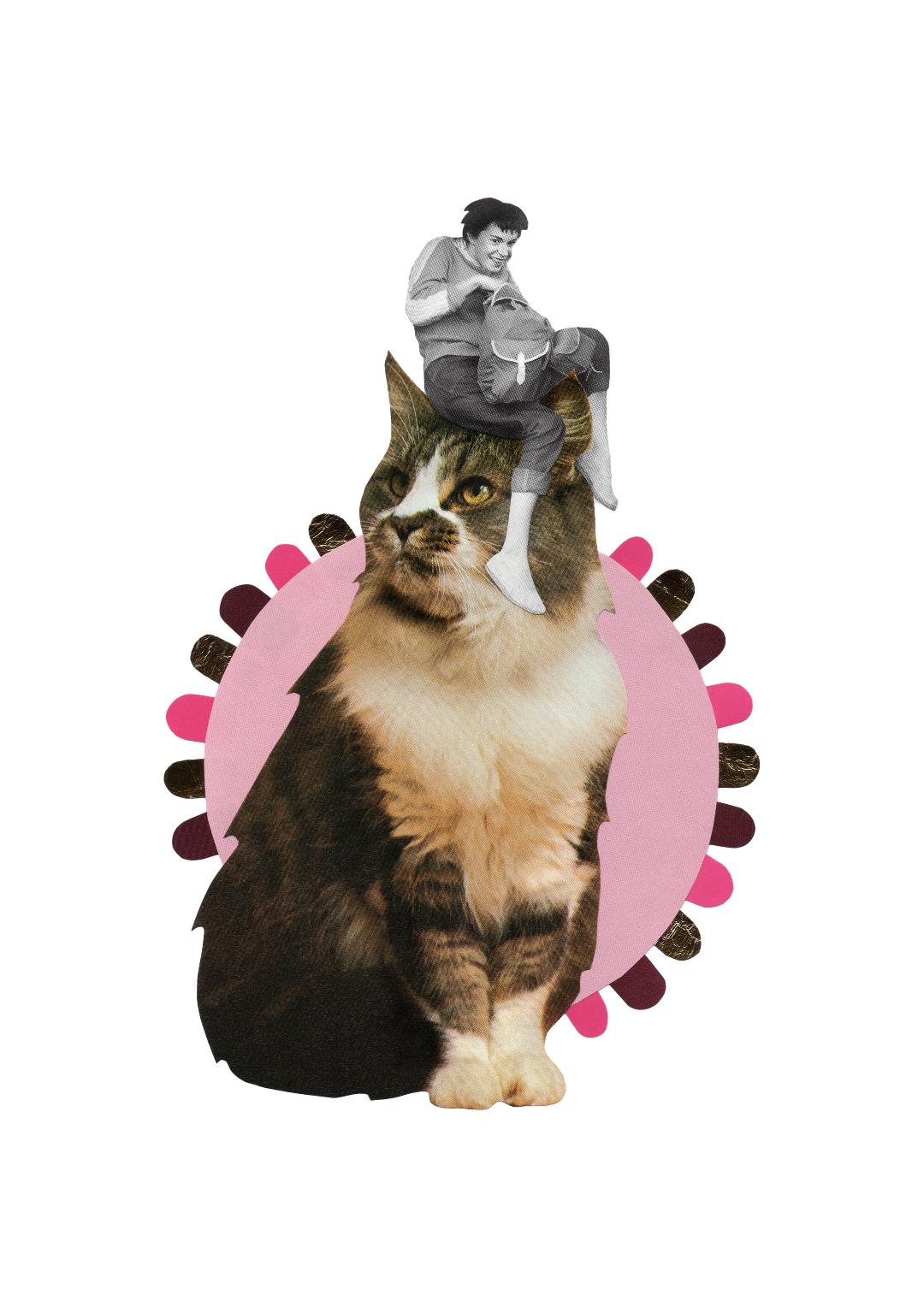 DARCY WAS ALWAYS UP TO NO GOOD PRINT