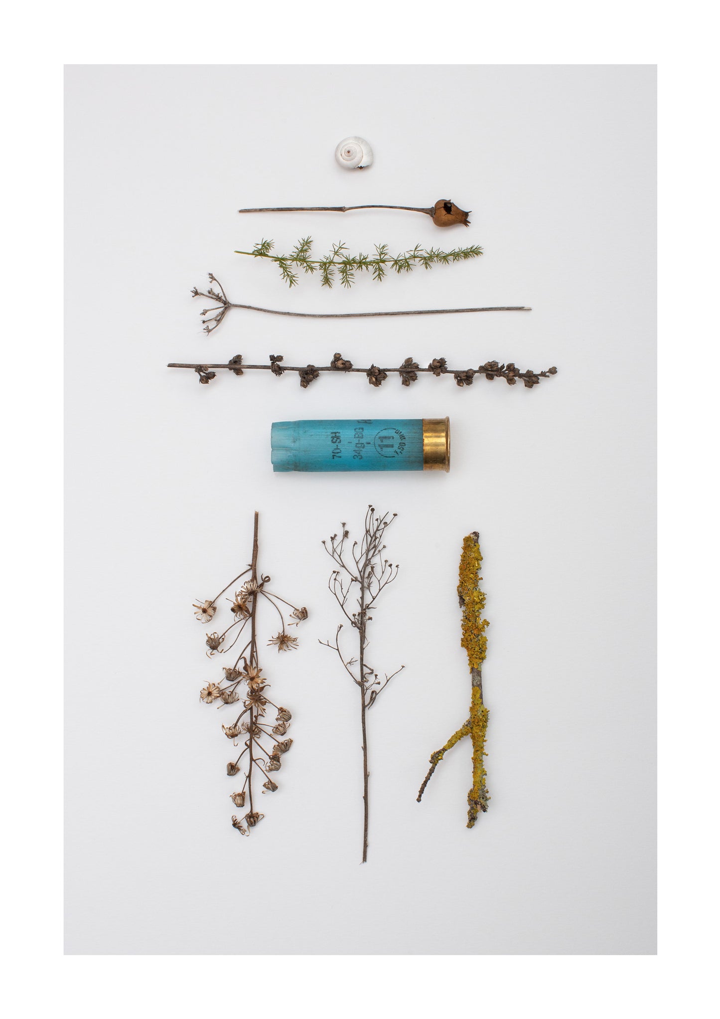 THE BRIDGE OF DREAMS PRINT