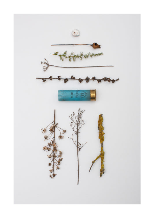 THE BRIDGE OF DREAMS PRINT