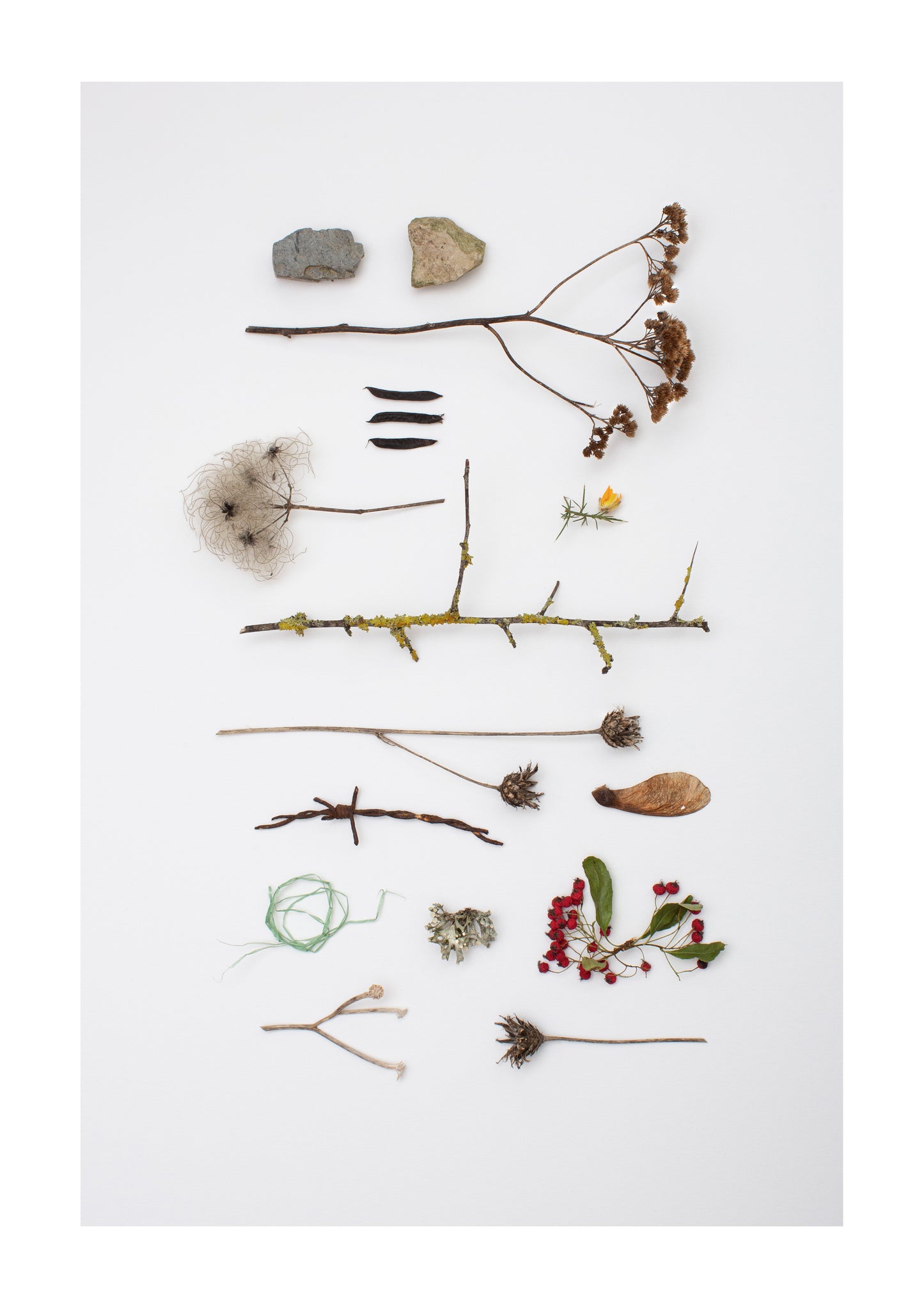 LOST AND FOUND PRINT