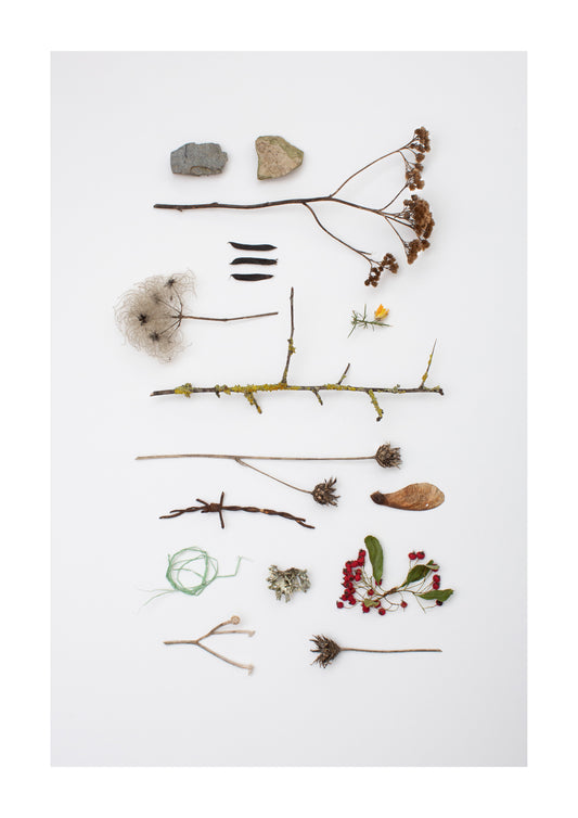 LOST AND FOUND PRINT