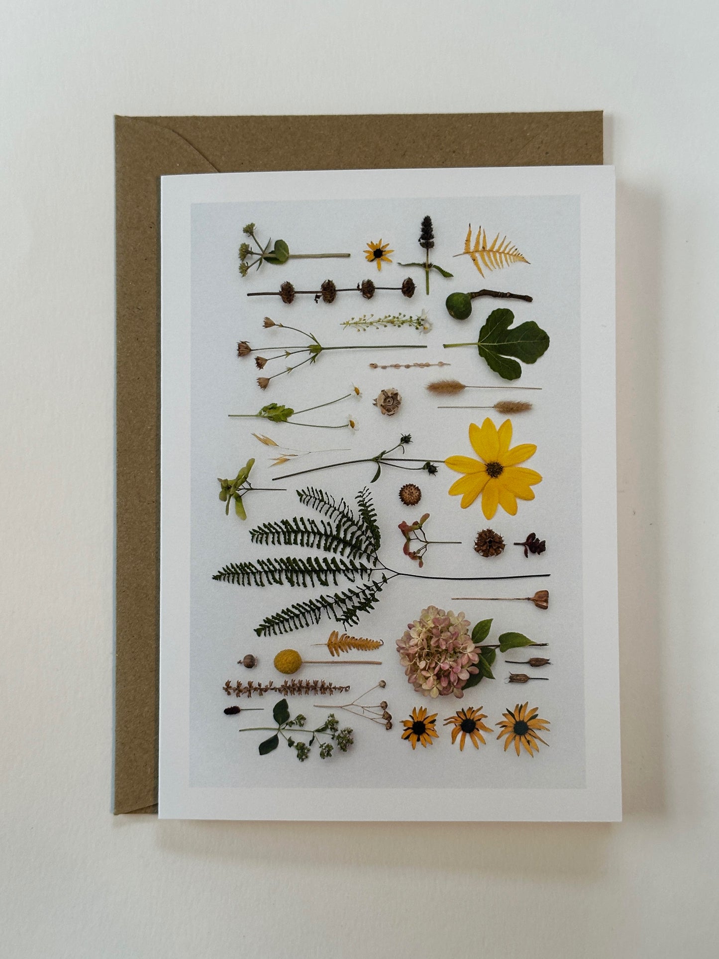 SATURDAY SUN CARD