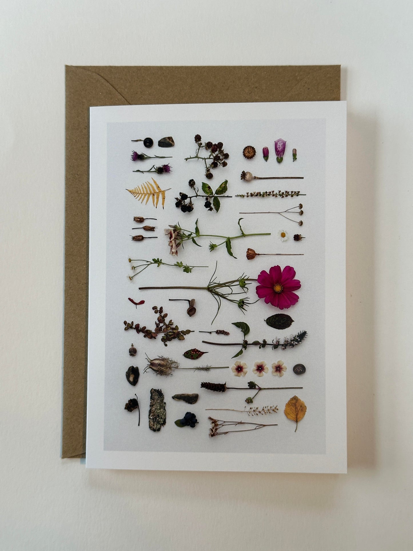 LATE AUGUST CARD